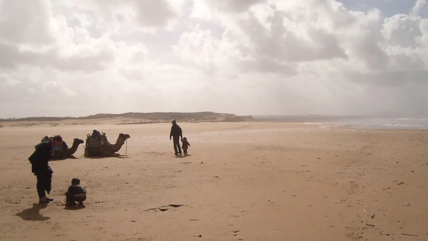 7-Daagse Marrakech naar Merzouga & Essaouira — Coastal Beach Camels