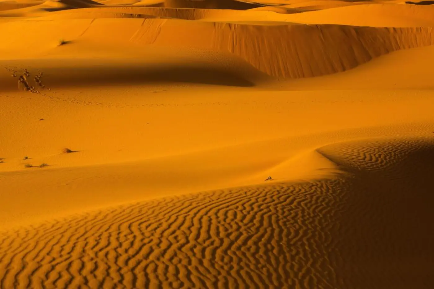 3-Daagse Woestijnreis van Marrakech naar Merzouga